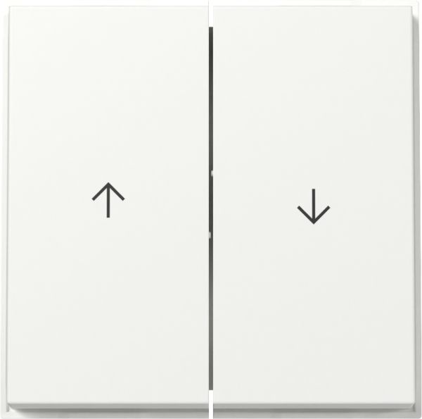 Gira 329466 Wippe 2f Pfeil Gira TX_44 (WG UP) Reinweiß