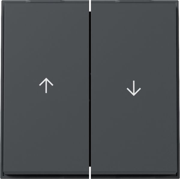 Gira 329467 Wippe 2f Pfeil Gira TX_44 (WG UP) Anthrazit