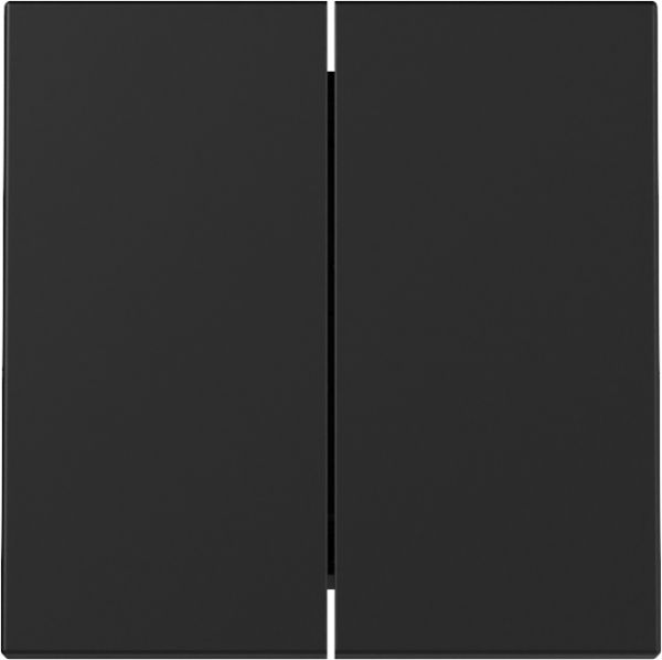 Gira 3295005 Wippe 2f System 55 Schwarz m