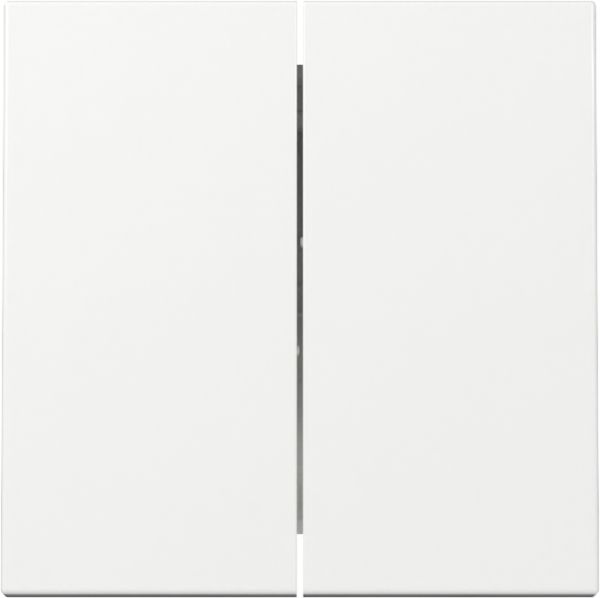 Gira 329503 Wippe 2f System 55 Reinweiß