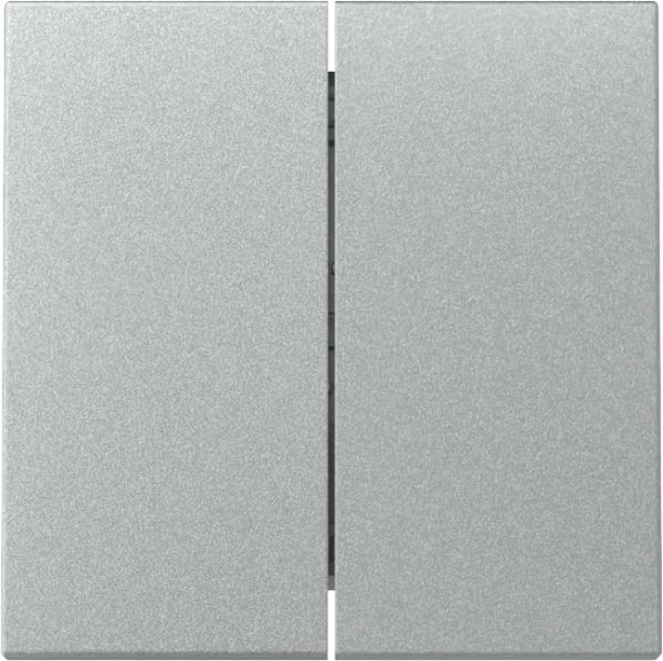 Gira 329526 Wippe 2f System 55 F Alu