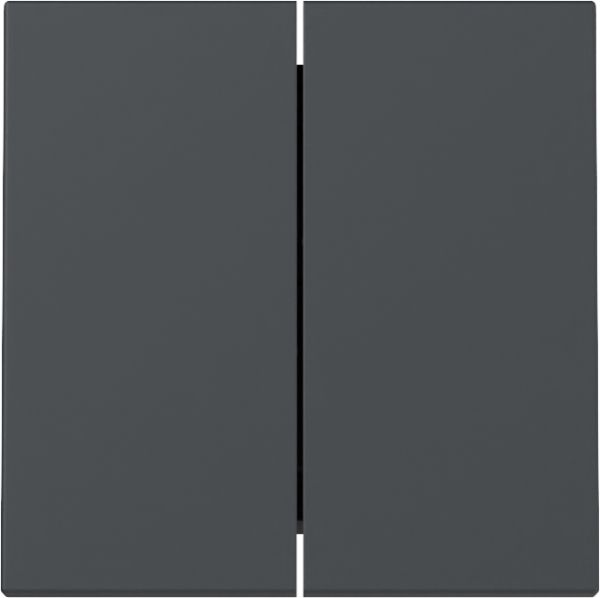 Gira 329528 Wippe 2f System 55 Anthrazit
