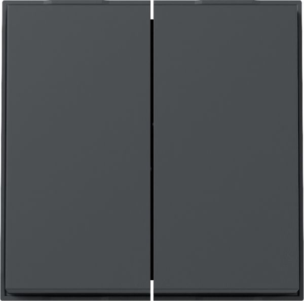Gira 329567 Wippe 2f Gira TX_44 (WG UP) Anthrazit