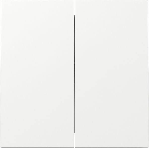 Gira 329570 Wippe 2f Flächenschalter Reinweiß