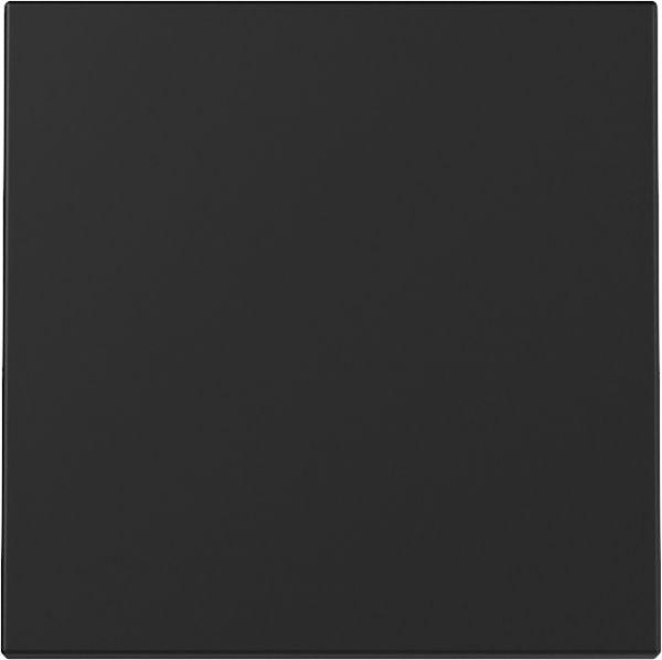 Gira 3296005 Wippe System 55 Schwarz m