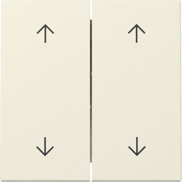 Gira 329701 Wippe 2f Pfeile System 55