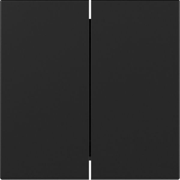 Gira 3495005 Wippe 2f gerade System 55 Schwarz m