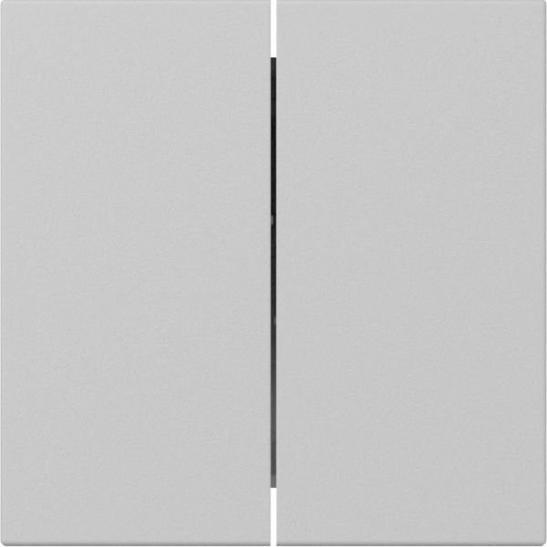 Gira 3495015 Wippe 2f gerade System 55 Grau m
