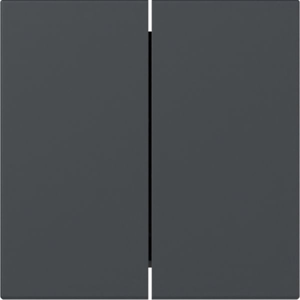 Gira 349528 Wippe 2f gerade System 55 Anthrazit