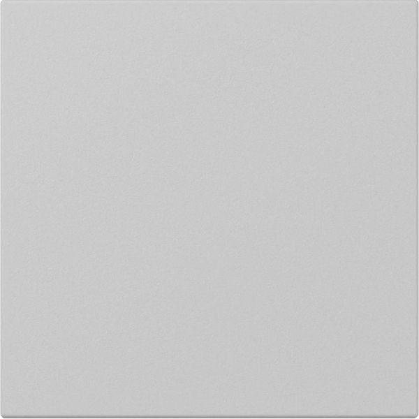 Gira 3496015 Wippe gerade System 55 Grau m