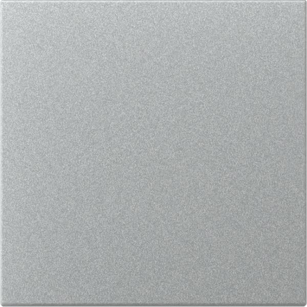 Gira 349626 Wippe gerade System 55 F Alu
