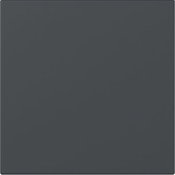 Gira 349628 Wippe gerade System 55 Anthrazit