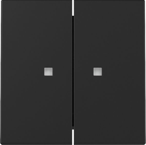 Gira 3631005 Wippe 2f Kontrollf. System 55 Schwarz m