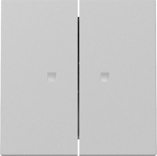 Gira 3631015 Wippe 2f Kontrollf. System 55 Grau m