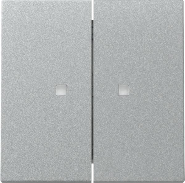 Gira 363126 Wippe 2f Kontrollf. System 55 F Alu