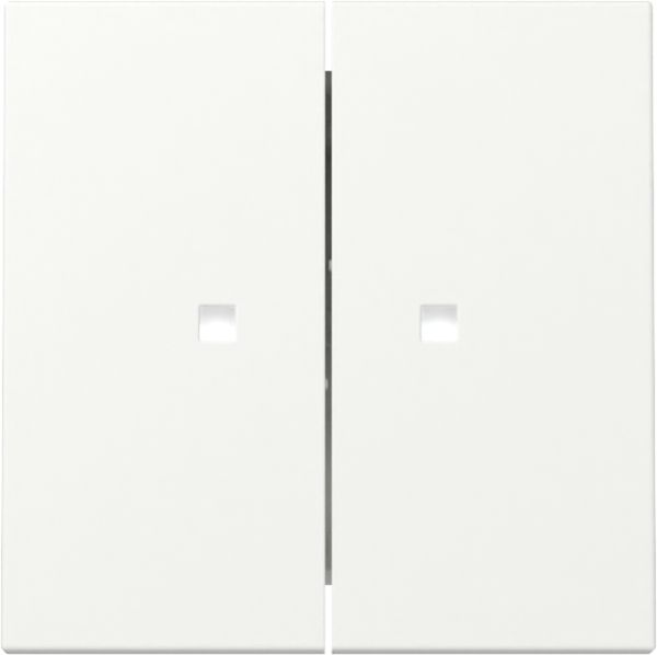 Gira 363127 Wippe 2f Kontrollf. System 55 Reinweiß m