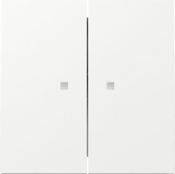 Gira 363170 Wippe 2f Kontrollf. Flächenschalter Reinweiß