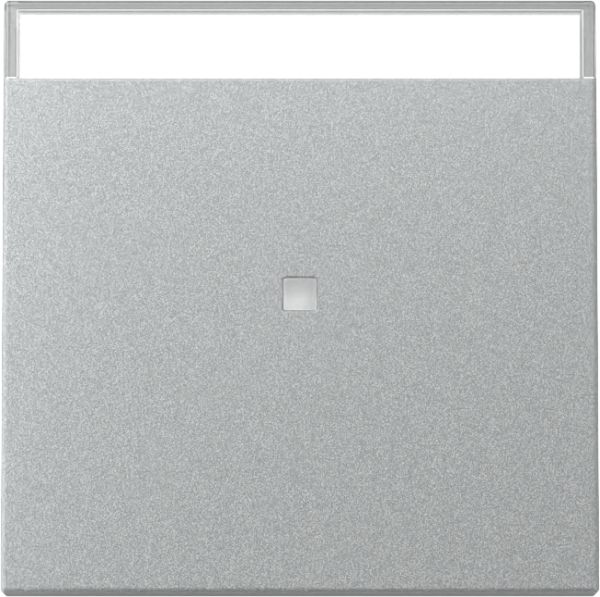 Gira 367026 Wippe Kontrollf. + BSF System 55 F Alu