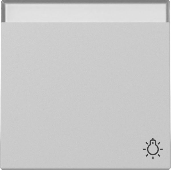Gira 3673015 Wippe Symb. Klingel + BSF System 55 Grau m