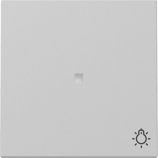 Gira 3674015 Wippe Kontrollf. + Symb. Licht System 55 Grau m