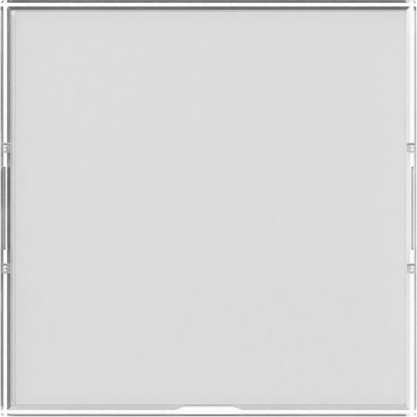 Gira 367600 Wippe BSF groß System 55 Farbneutral