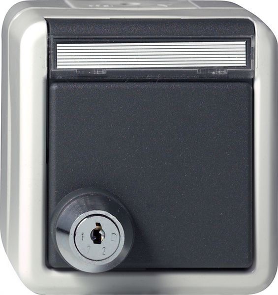Gira 456730 SCHUKO-Steckd. KD Schloss sortiert + BSF WG AP Grau