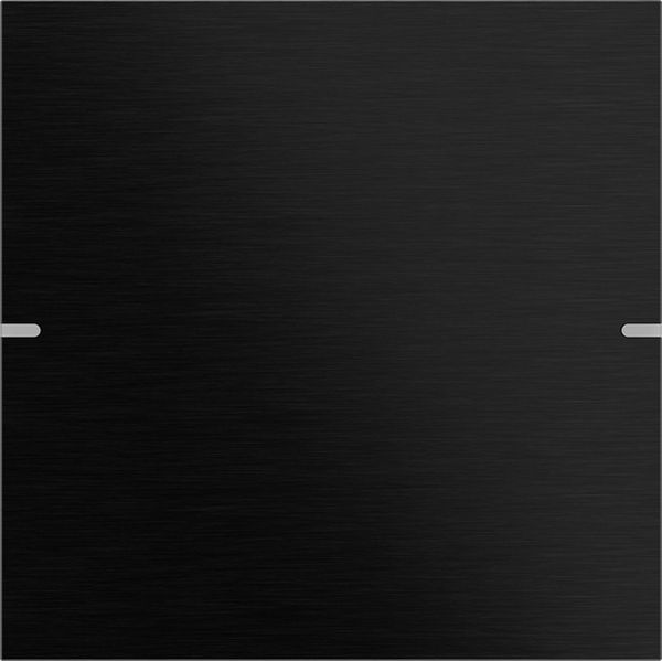 Gira 5021126 Wippenset 1f Tastsens.4.95 Alum.Schwarz(elox.)