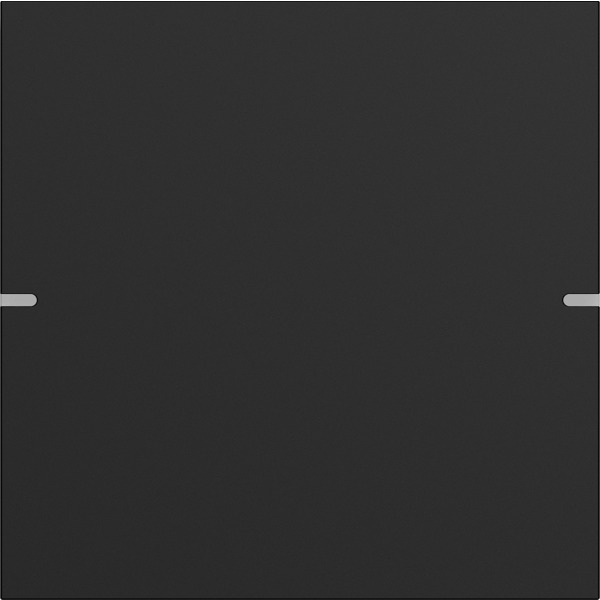 Gira 5021905 Wippenset 1-fach für Tastsensor 4 Schwarz matt (lackiert)