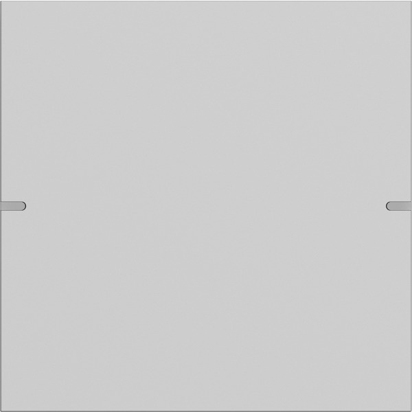 Gira 5021915 Wippenset 1-fach für Tastsensor 4 Grau matt (lackiert)