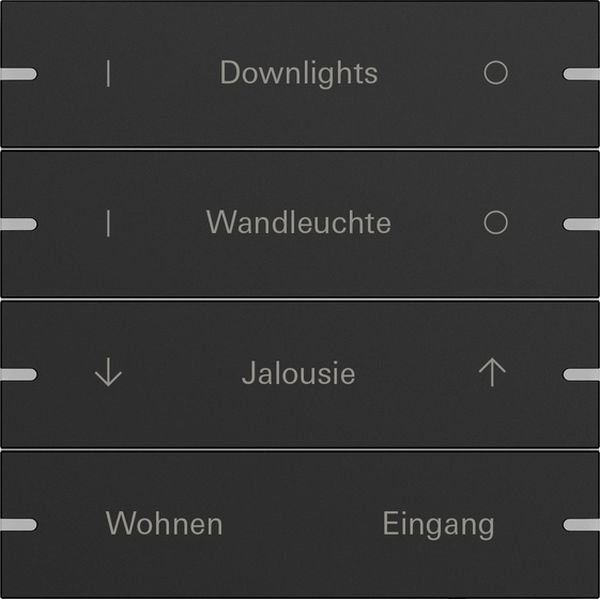 *** Gira 5034905 Wippenset 4-fach individuell für Tastsensor 4 Schwarz matt (lackiert) (Bitte denken Sie an die Gira-Konfiguration!)