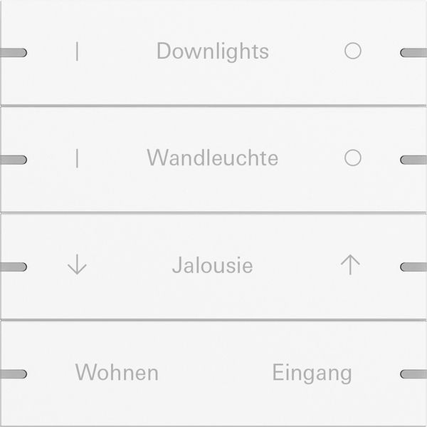 *** Gira 5034927 Wippenset 4-fach individuell für Tastsensor 4 Reinweiß seidenmatt (lackiert) (Bitte denken Sie an die Gira-Konfiguration!)