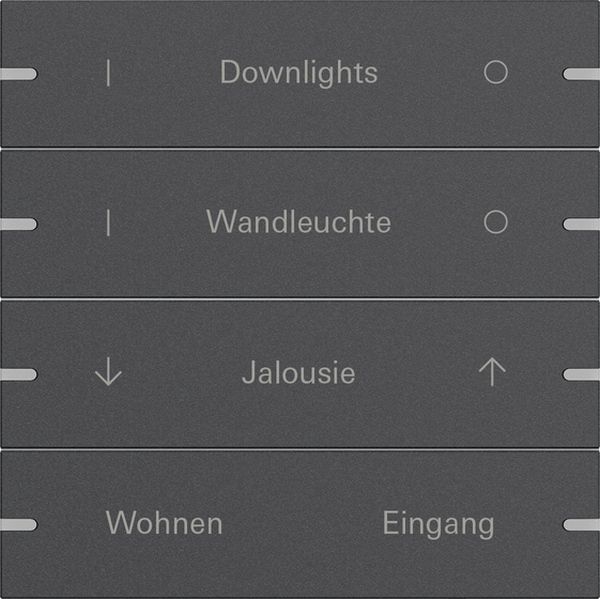 *** Gira 5034928 Wippenset 4-fach individuell für Tastsensor 4 Anthrazit (lackiert) (Bitte denken Sie an die Gira-Konfiguration!)