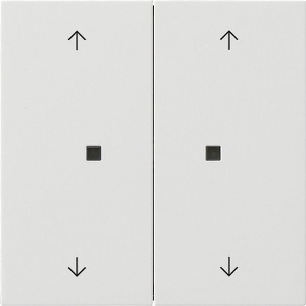 Gira 5174112 Taster mit Wippe 2-fach Pfeilsymbole für One und KNX Reinweiß glänzend