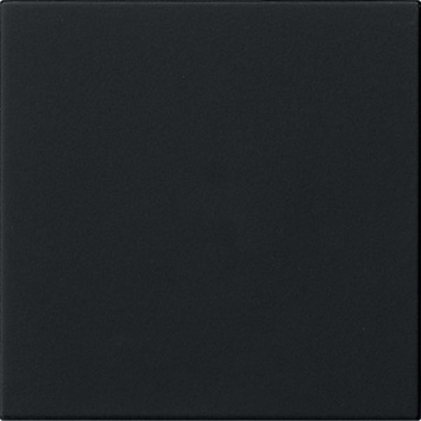 Gira 5360005 S3000 Bedienaufs. System 55 Schwarz m