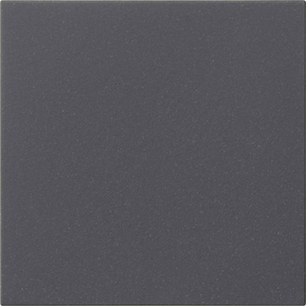 Gira 536028 S3000 Bedienaufs. System 55 Anthrazit