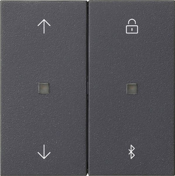 Gira 536728 S3000 Jal.-/Schaltuhr BT Pfeile System 55 Anthrazit