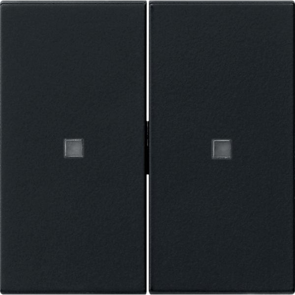 Gira 5369005 Wippe 2-fach unbedruckt mit Kontrollfenster System 55 Schwarz matt