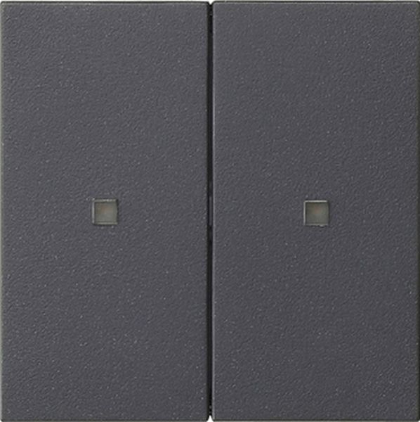 Gira 536928 Wippe 2f unbedruckt Kontrollf. System 55 Anthrazit