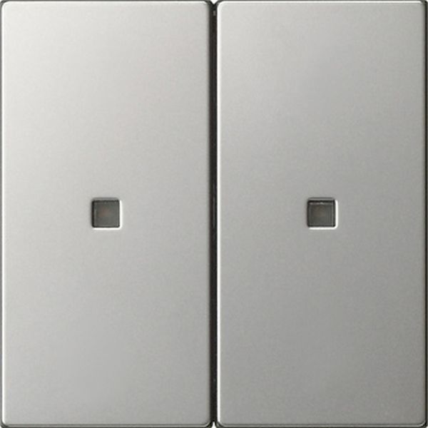 Gira 5369600 Wippe 2f unbedruckt Kontrollf. System 55 Edelstahl
