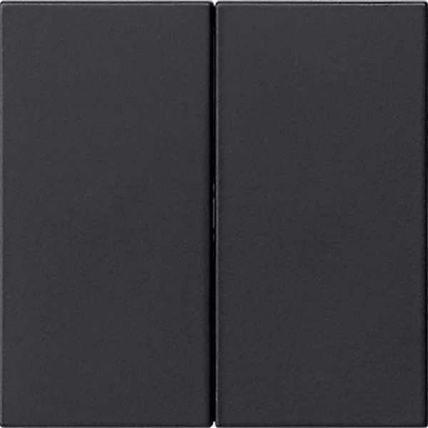 Gira 5370005 Wippe 2f unbedruckt System 55 Schwarz m