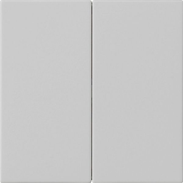 Gira 5370015 Wippe 2f unbedruckt System 55 Grau m
