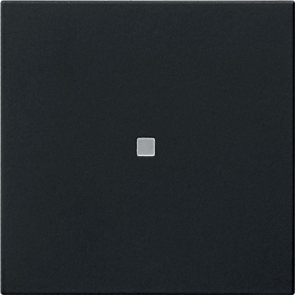 Gira 5371005 Wippe 1-fach unbedruckt mit Kontrollfenster System 55 Schwarz matt