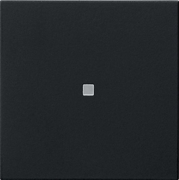 Gira 5371005 Wippe 1f unbedruckt Kontrollf. System 55 Schwarz m