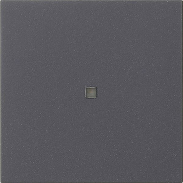 Gira 537128 Wippe 1f unbedruckt Kontrollf. System 55 Anthrazit