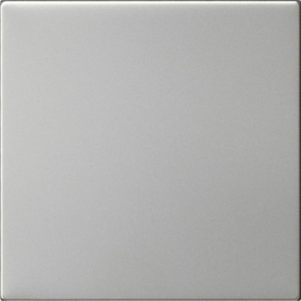 Gira 5372600 Wippe 1f unbedruckt System 55 Edelstahl