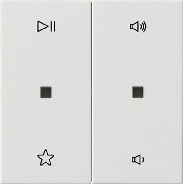 Gira 538403 Wippe 2f Audiostrg System 55 Reinweiß