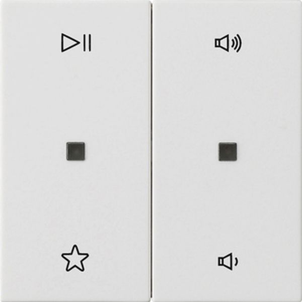 Gira 538427 Wippe 2f Audiostrg System 55 Reinweiß m