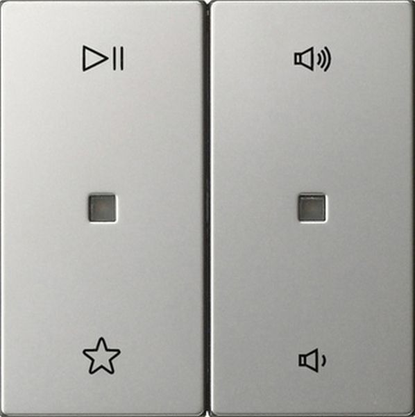 Gira 5384600 Wippe 2-fach Audiosteuerung System 55 Edelstahl