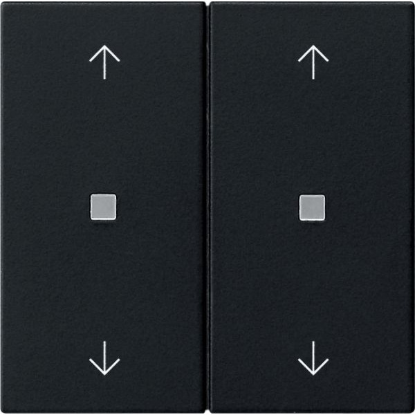 Gira 5386005 Wippe 2-fach mit Pfeilsymbolen und Kontrollfenster System 55 Schwarz matt