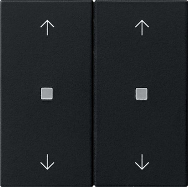 Gira 5386005 Wippe 2f Pfeile Kontrollf. System 55 Schwarz m
